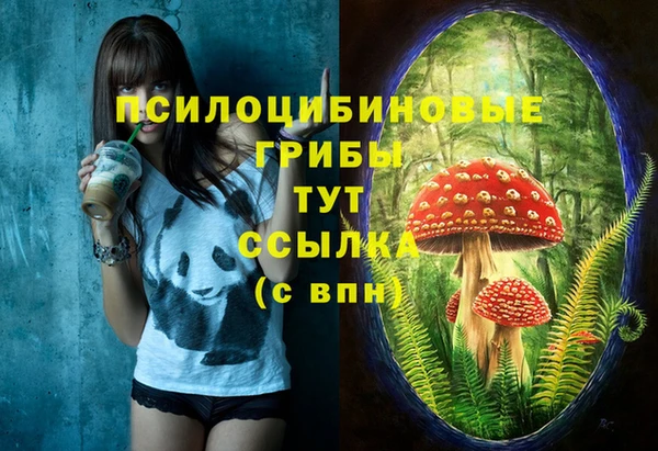 ECSTASY Нефтегорск