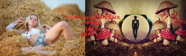 прущий лед Нефтекумск