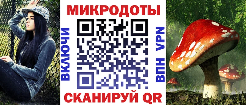 Псилоцибиновые грибы Psilocybe  Фурманов 